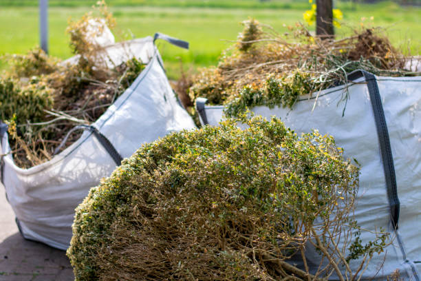 Best Garage Cleanout  in East Flat Rock, NC