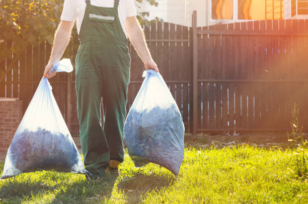 Best Hoarding Cleanup  in East Flat Rock, NC